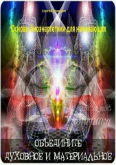 Основы биоэнергетики для начинающих - автор Слепцов Сергей 