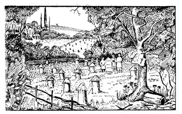 Пчеловодство как ремесло - _2.jpg