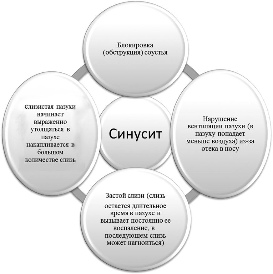 Ваш семейный ЛОР. Случаи из практики врача - _1.jpg