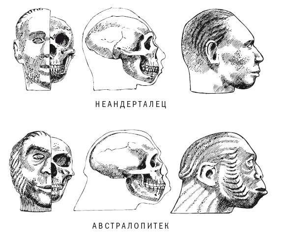 Тайны мозга - i_002.png