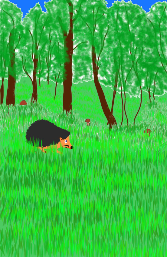 Ёжик ищет чудо - _3.jpg