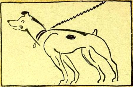 Питомцы Майки - i_006.jpg