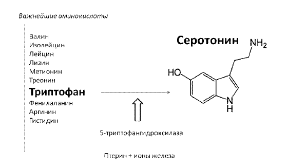 Лечение болезней нервной системы биологически активными добавками к пище (БАД) - i_007.png