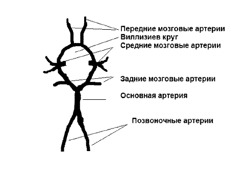 Лечение болезней нервной системы биологически активными добавками к пище (БАД) - i_009.png