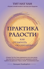 Практика радости. Как отдыхать осознанно - автор Хан Тит 