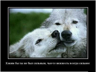 Крайняя поэзия - _0.jpg