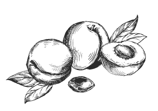 Секреты фруктового сада. Урожай на зависть соседям - i_046.png