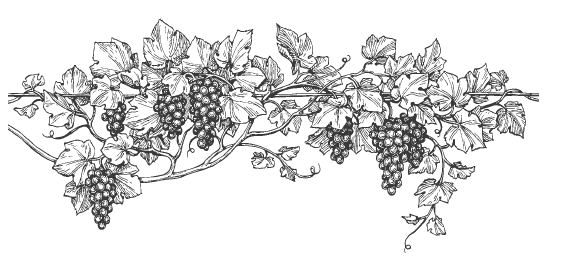 Секреты фруктового сада. Урожай на зависть соседям - i_055.png