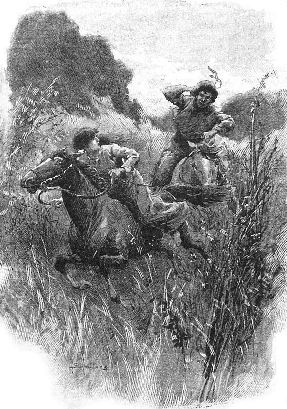 Одинокое ранчо (сборник) - i_013.png