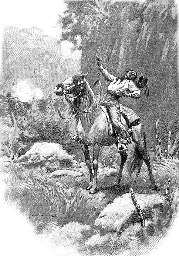 Одинокое ранчо (сборник) - i_014.png