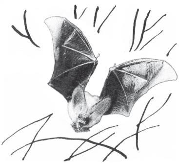 Непредвиденное путешествие - i_002.jpg