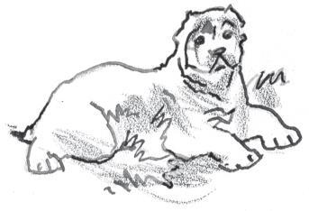 Непредвиденное путешествие - i_008.jpg