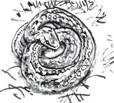 Непредвиденное путешествие - i_014.jpg