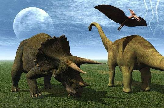 Strenua inertia-3! В гармонии с собой 2 - _37.jpg