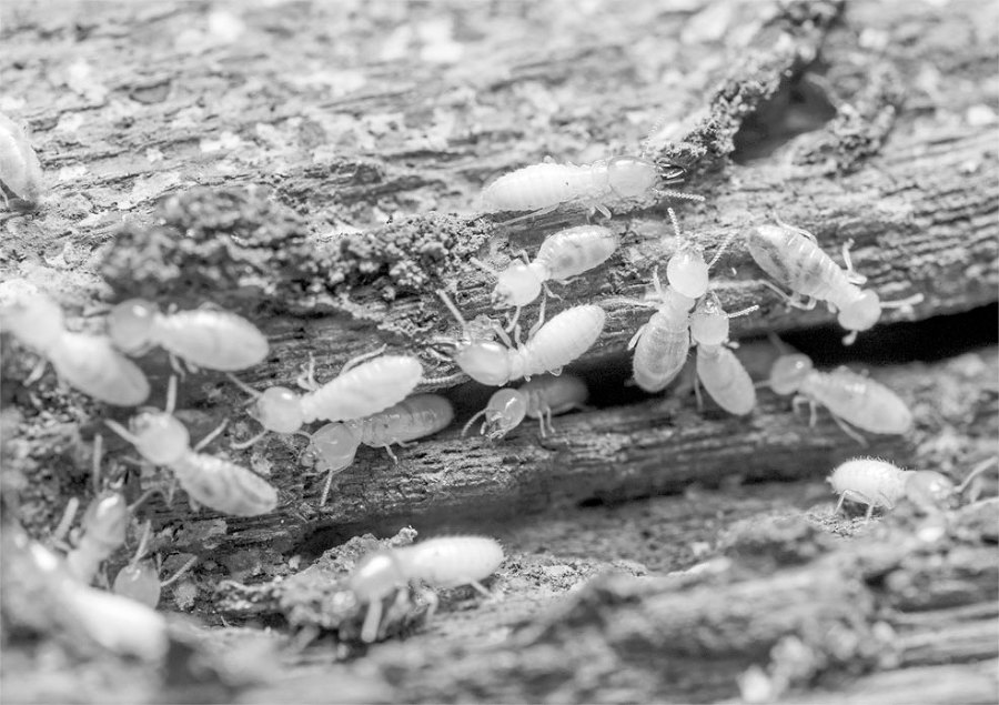 Тайны пророчеств и предсказаний - i_006.jpg