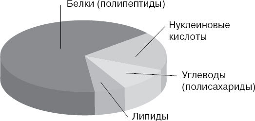 Анатомия на пальцах. Для детей и родителей, которые хотят объяснять детям - _10.jpg