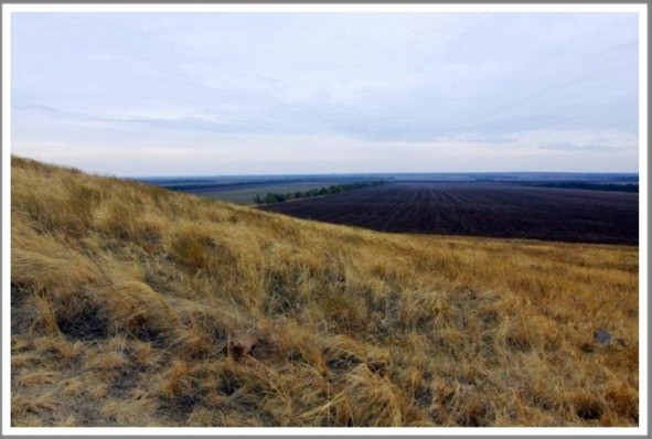 Другая Украина (СИ) - _58.jpg