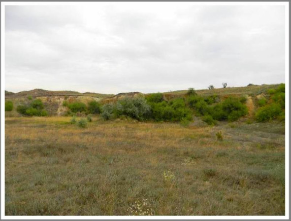 Другая Украина (СИ) - _90.jpg