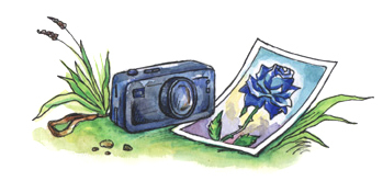 Лямзик и его друзья. Книга приключений - _15.jpg