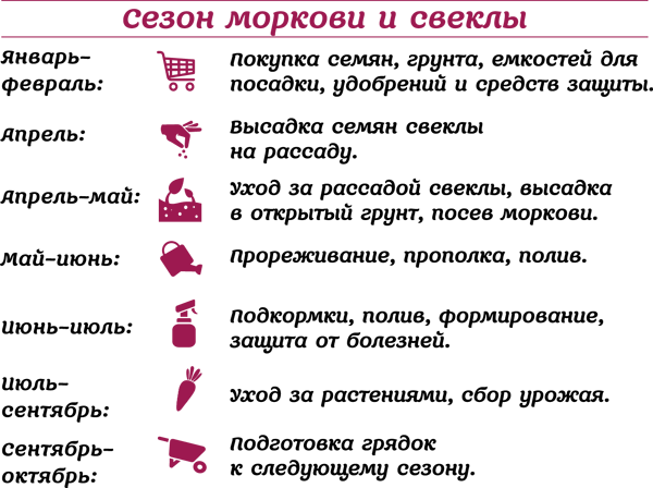 Морковь и свекла на эко грядках. Урожай без химии - img_0.png