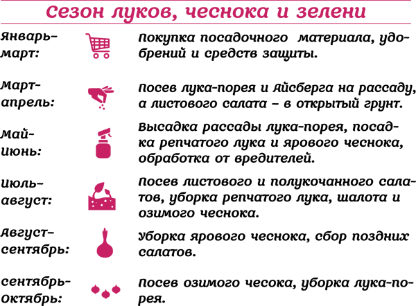 Зелень для здоровья. Лук и чеснок на эко грядках - i_001.png