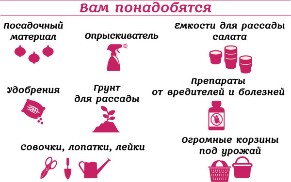 Зелень для здоровья. Лук и чеснок на эко грядках - i_002.png