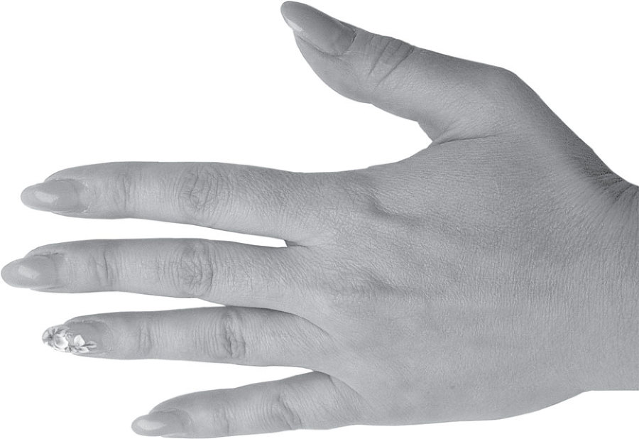 Полная энциклопедия хиромантии - _18.jpg