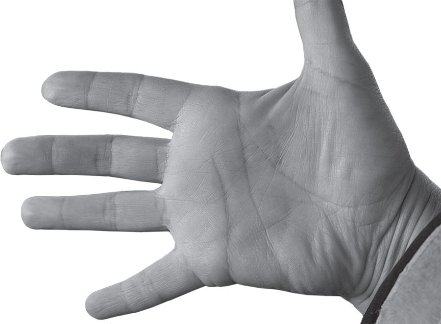 Полная энциклопедия хиромантии - _19.jpg