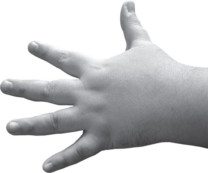 Полная энциклопедия хиромантии - _27.jpg