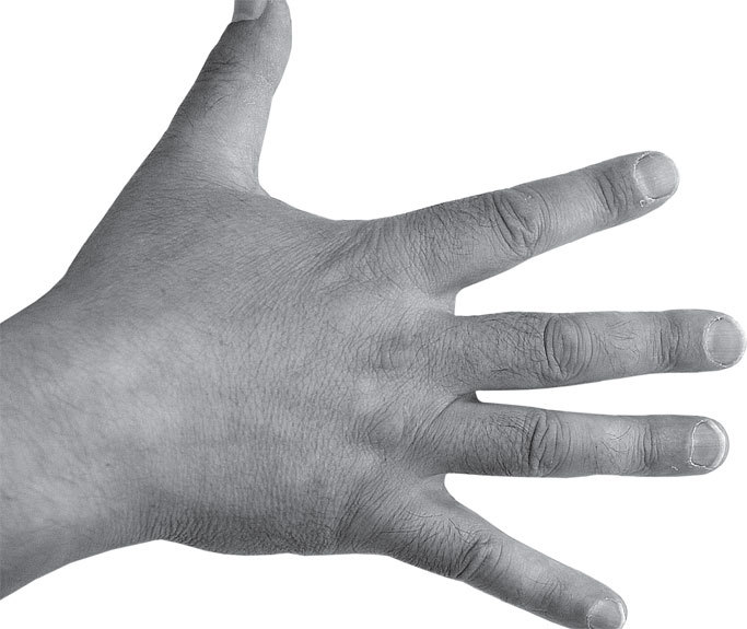 Полная энциклопедия хиромантии - _28.jpg