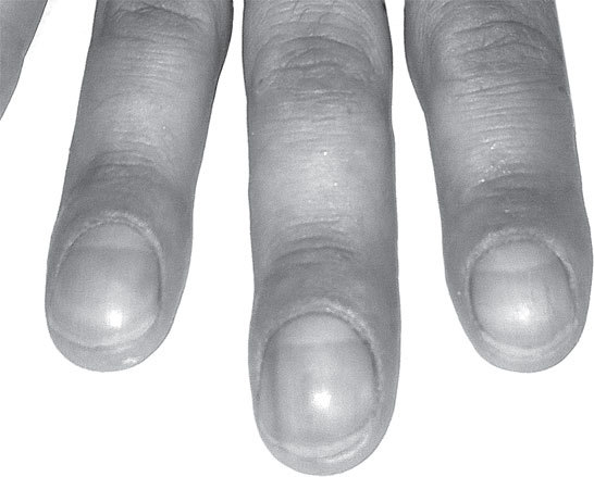 Полная энциклопедия хиромантии - _30.jpg