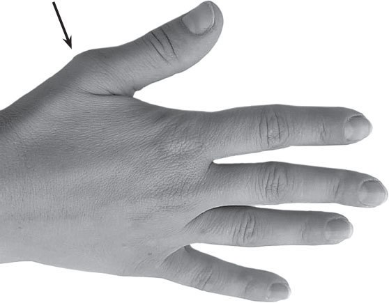 Полная энциклопедия хиромантии - _31.jpg