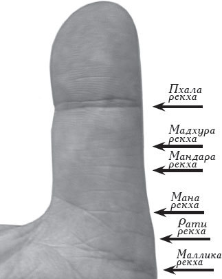 Полная энциклопедия хиромантии - _33.jpg