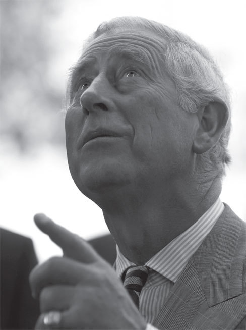 Полная энциклопедия хиромантии - _39.jpg