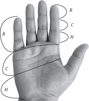 Полная энциклопедия хиромантии - _41.jpg