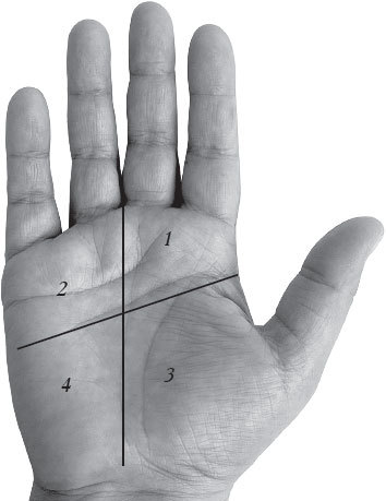 Полная энциклопедия хиромантии - _42.jpg