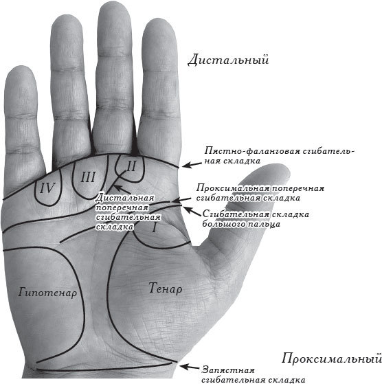 Полная энциклопедия хиромантии - _43.jpg
