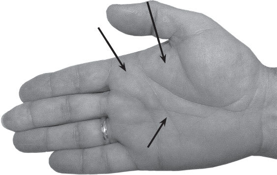 Полная энциклопедия хиромантии - _45.jpg