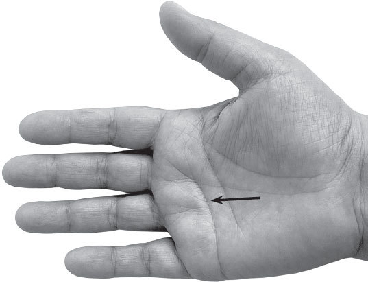 Полная энциклопедия хиромантии - _46.jpg