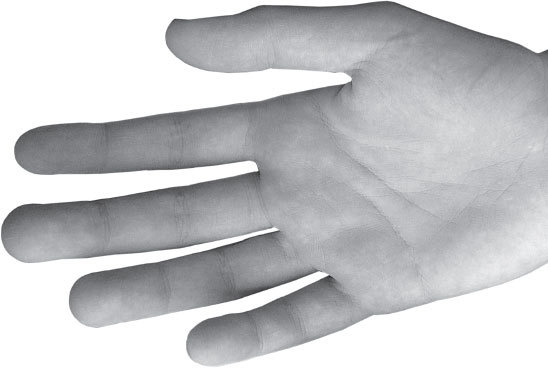 Полная энциклопедия хиромантии - _47.jpg