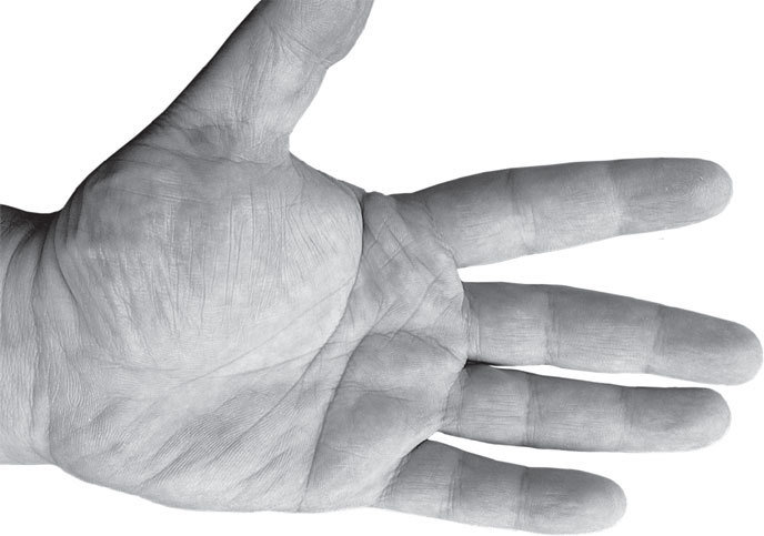 Полная энциклопедия хиромантии - _50.jpg