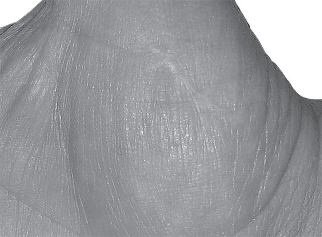 Полная энциклопедия хиромантии - _52.jpg