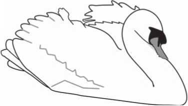 Лебеди мира. Структура и эволюция сигнального поведения - i_001.jpg