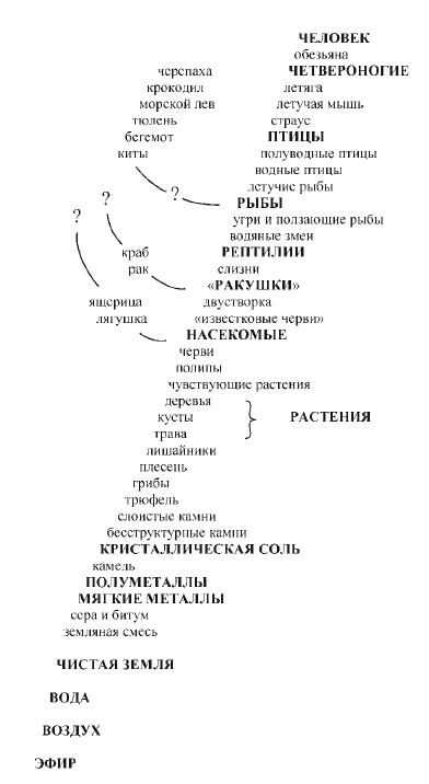 Биологическая систематика: Эволюция идей - i_004.png