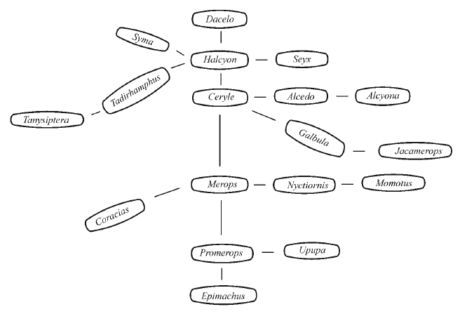 Биологическая систематика: Эволюция идей - i_008.png