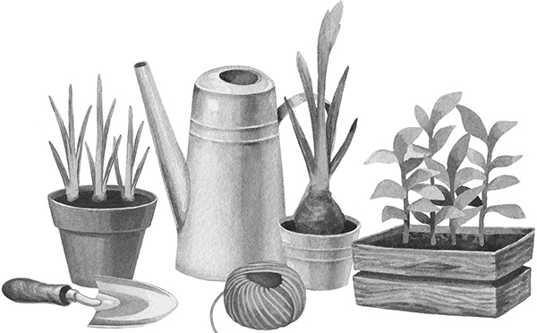 Эко сад и огород. Книга для тех, кто хочет сохранить здоровье - block_001560_page_019_image_0001.jpg_2.jpeg