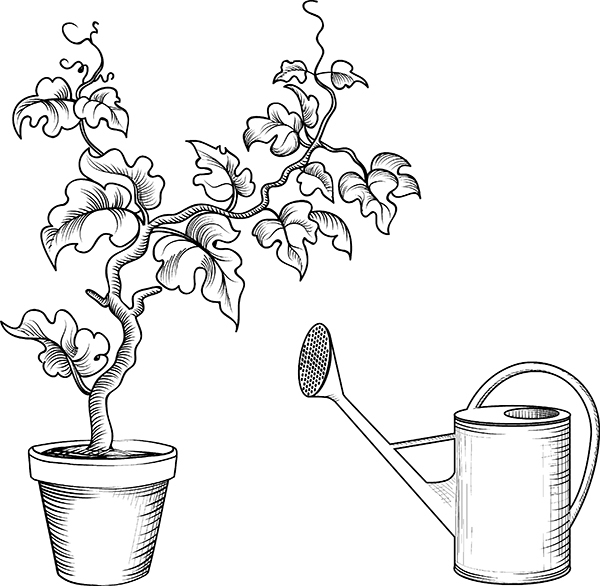 Сад и огород без болезней и вредителей. Как защитить, но не травить - i_002.jpg