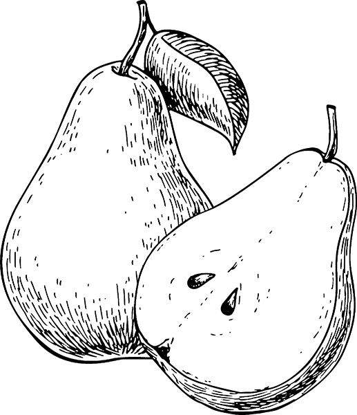 Сад и огород без болезней и вредителей. Как защитить, но не травить - i_010.jpg