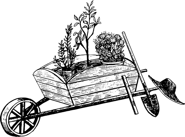 Сад и огород без болезней и вредителей. Как защитить, но не травить - i_041.jpg