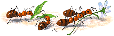 Фея Бориса Ларисовна - i_024.png